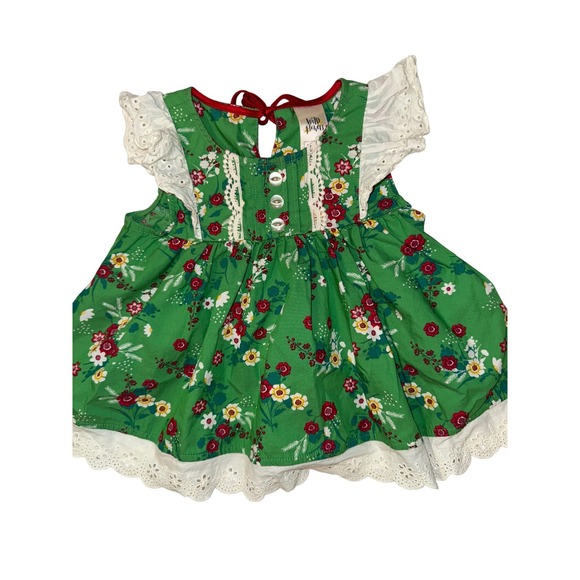 Wildflowers Clothing Co Other - Wildflowers Clothing Co Girls Happy Go Lucky Festive Fern Floral Dress Green 12M